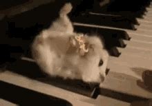 Hamster On A Wheel GIFs | Tenor