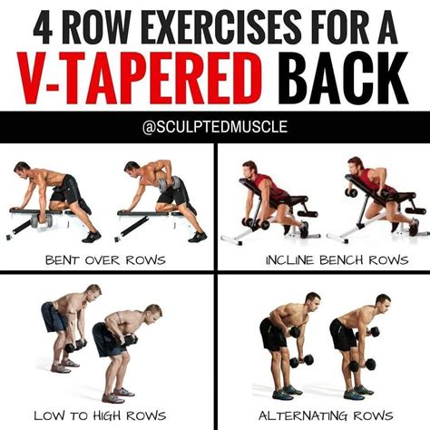 4 ROW EXERCISES FOR A V-TARPERD BACK WORKOUT EXERCISES YOUR BODY Plz ...