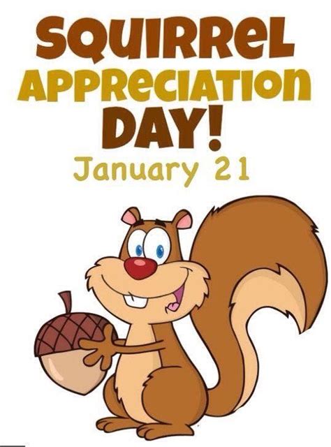 Pin by Dawn Richardson on Holiday | Squirrel appreciation day, Funny squirrel pictures, Squirrel ...