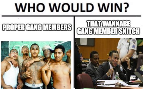 Who Would Win? Meme - Imgflip