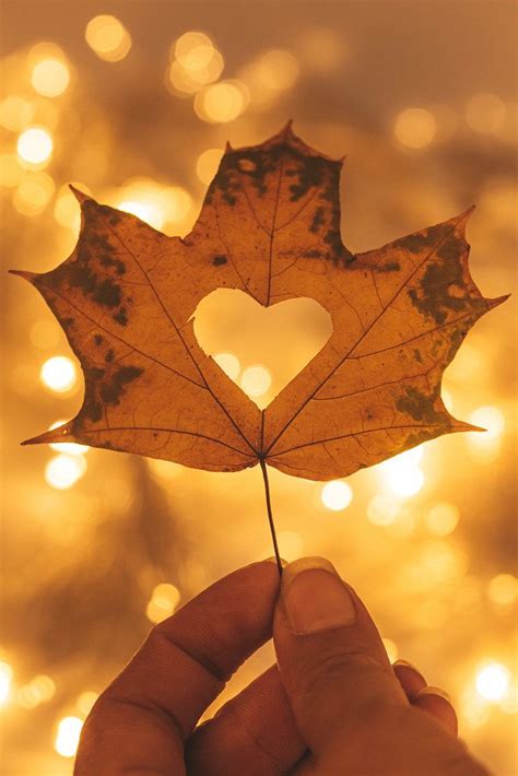 Beautiful bright autumn background with a maple leaf in a woman's hand - Creative Commons Bilder