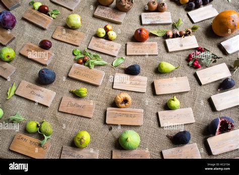 A table with many types of typical Italian fruits labeled with the Italian names in a Florentine ...