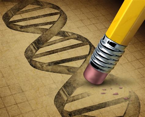 Startup to begin editing humans’ DNA in 2017 – BGR