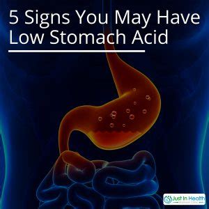 5 Signs You May Have Low Stomach Acid - Austin Texas Functional ...