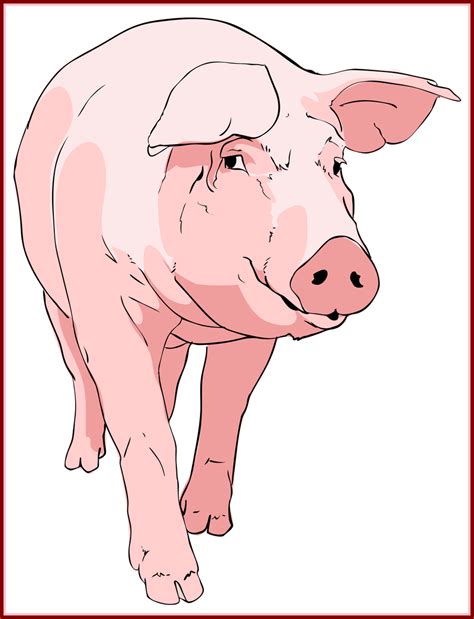 Outline clipart pig, Outline pig Transparent FREE for download on ...