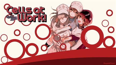 Cells at Work - Wallpaper 1920x1080 by HayatoFSeiei on DeviantArt