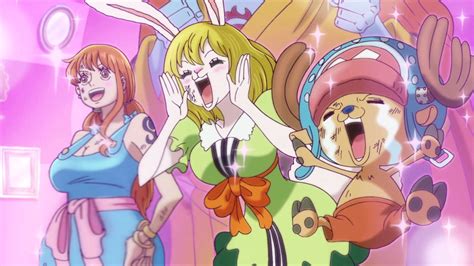 Nami, Carrot and Chopper by Stadla on DeviantArt