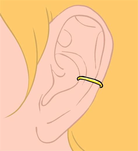16 types de piercings d’oreille et leur niveau de douleurle guide complet 2023 in 2024 | Anti ...