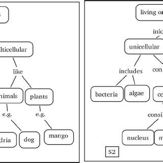 Concept maps on living organisms drawn by S1 and S2. | Download Scientific Diagram