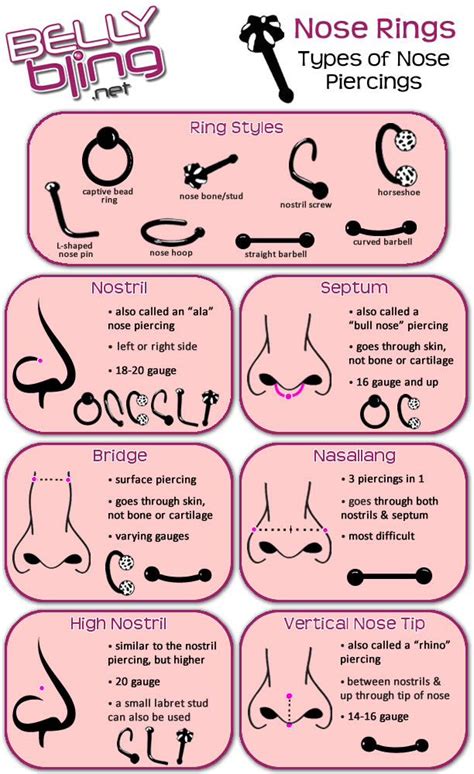 Pin by Nati Ely on Piercings & Adornments | Different types of piercings, Nose piercing, Piercing