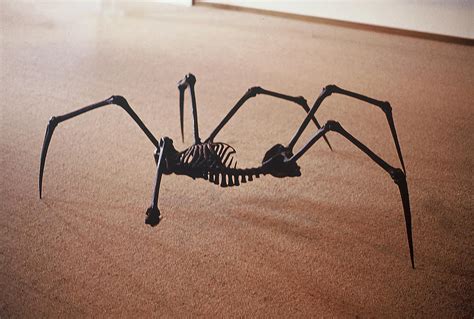 The Spider Skeleton Photograph by Carl Purcell - Fine Art America