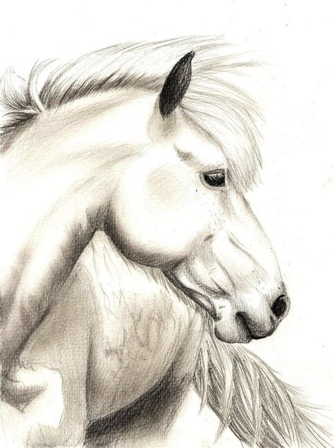 a pencil drawing of a horse with long hair