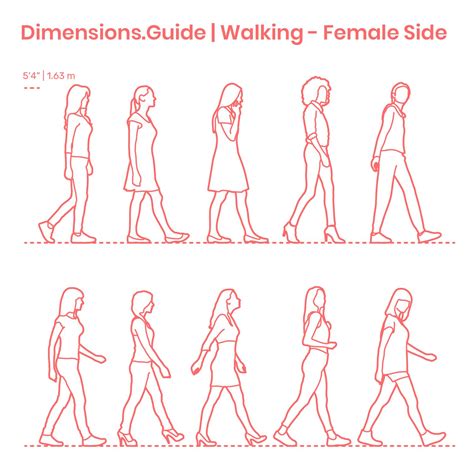 Walking Female Side | Dibujo de personas, Dibujos de personas, Sketch ...