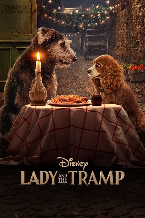 Lady and the Tramp (2019) - Posters — The Movie Database (TMDB)