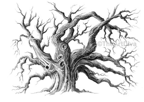 Pencil Drawing Oak Tree Black and White Archival 5 x by TheArtDiva