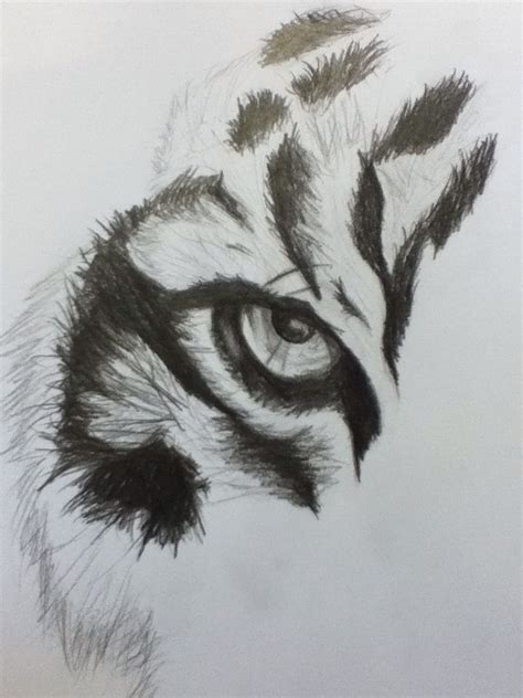 Tiger Eye Drawing at PaintingValley.com | Explore collection of Tiger ...