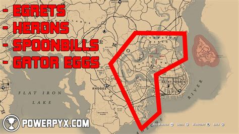 Red Dead Redemption 2 All Exotics Locations