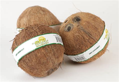 Coconut (Coco Seco, Brown Coconut) - El Sol Brands