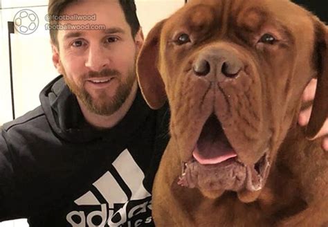 Messi's dog #messi | Hulk