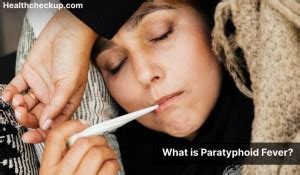 Paratyphoid fever - Symptoms, Diagnosis, Treatment, Prevention - Health ...