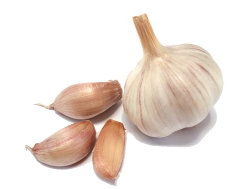 Garlic PNG Clipart | PNG All