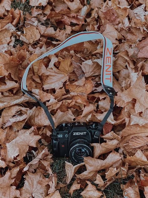 Old professional photo camera on faded leaves in park · Free Stock Photo