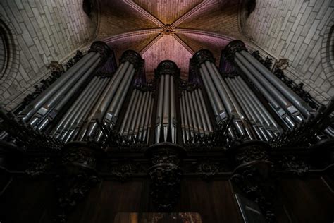 Notre Dame Cathedral Fire: The Historic Organ Survived | Heavy.com