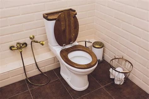 10 Types of Toilet Seats Compared: Material, Shape & More