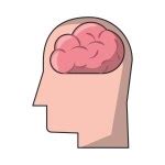 Human brain cartoon Stock Vector Image by ©jemastock #282409562