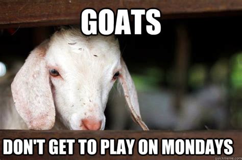 Sad Goat memes | quickmeme