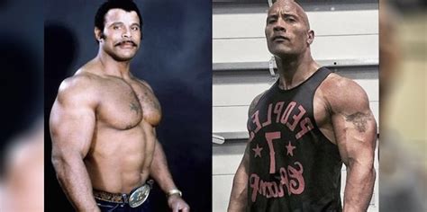 Dwayne Johnson's Father, Rocky Johnson Dead At Age 75 – Fitness Volt