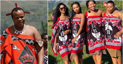 how does the king of swaziland chooses his wives - Naija News Olofofo