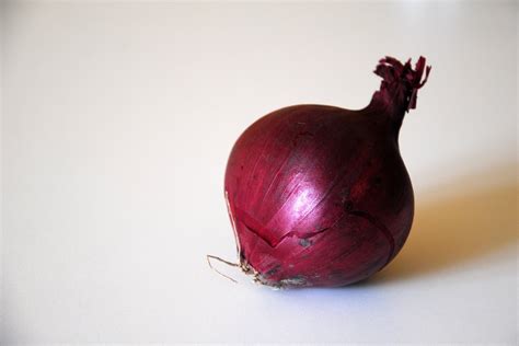 Red onion Free Photo Download | FreeImages