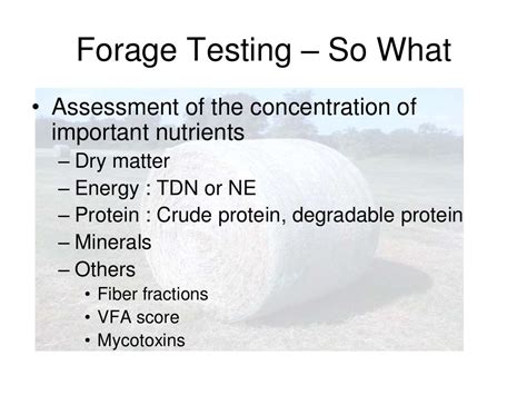 Sheep nutrition