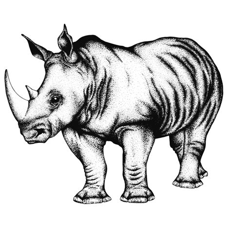 Free Rhino Transparent Images