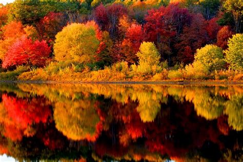 Fall Colors New England | Flickr - Photo Sharing!