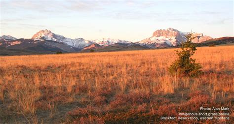 North America's Northern Great Plains | IUCN