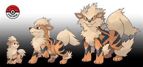 058 - 059 Growlithe Line by InProgressPokemon | Pokemon breeds, Pokemon ...