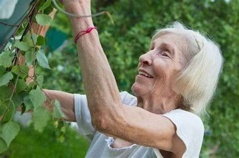 The Best Gardening Tools For Seniors (2024)
