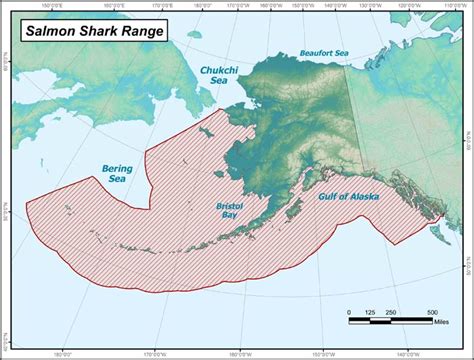 Salmon Shark Range Map, Alaska Department of Fish and Game