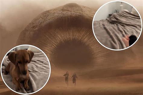 Viral Pet Sandworm Videos Spoof ‘Dune: Part Two’