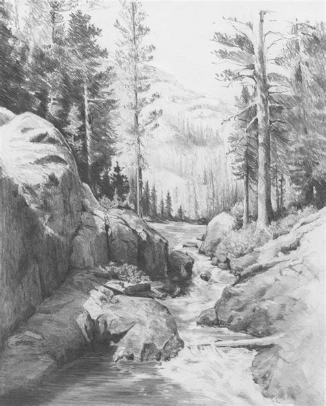 76 best Pencil Drawing of Trees images on Pinterest | Drawing trees, Drawing and Tree drawings