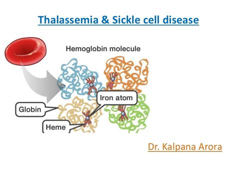 thalassemia and sickle cell disease