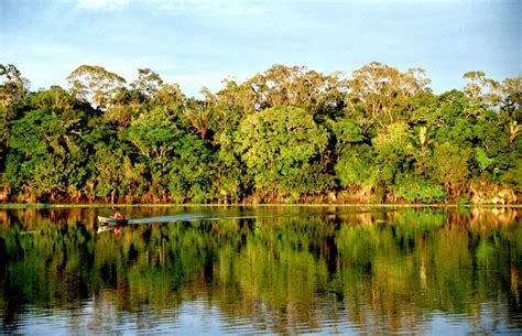 Floresta Amazônica: um lugar para visitar ao menos uma vez