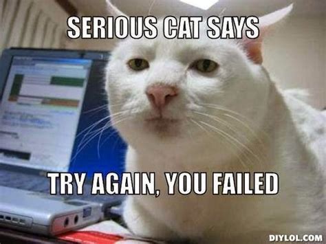 Write-Freelance-Indian-Freelance-writers-Serious-cat-try-again-meme-1 ...