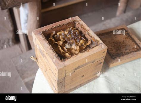 Organic honeycomb on a farm in the Peruvian jungle Stock Photo - Alamy