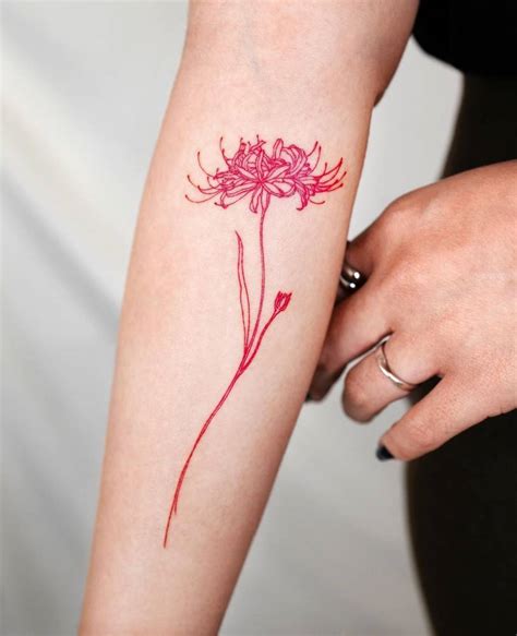 Fine line red spider lily tattoo on the inner forearm.