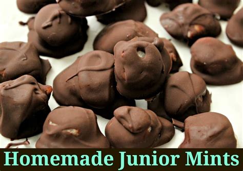 Homemade Junior Mints (Only 4 Ingredients) - The Coconut Mama Mint Recipes Dessert, Mint ...