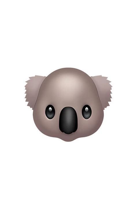 a koala face is shown in this image