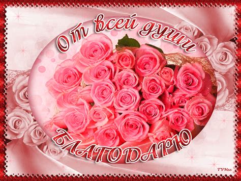 a bouquet of pink roses on a plate with the words om becai gynna